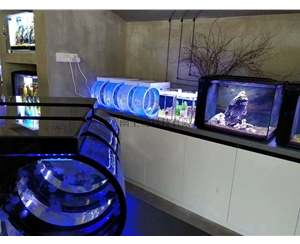 水母缸產品